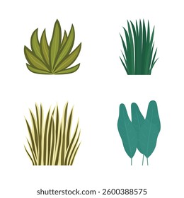 Elements Set of Fresh Tropical Leaves Foliage Grass Natural Plant in the Park Garden