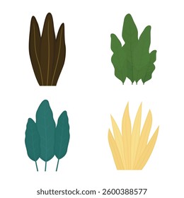 Elements Set of Fresh Tropical Leaves Foliage Grass Natural Plant in the Park Garden