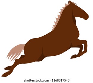 Elements of Spanish Riding School.