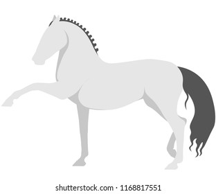 Elements of Spanish Riding School.