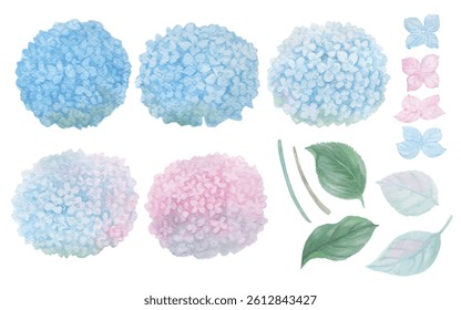 Elements Vector of Hydrangea hand draw watercolor.