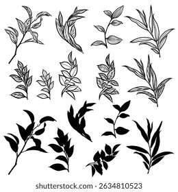 Elements vector of leaves set