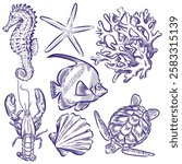Elements vector of Sea life drawing isolated on white background.