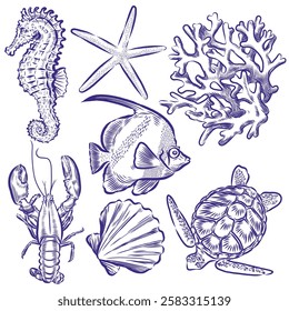 Elements vector of Sea life drawing isolated on white background.