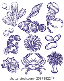 Elements vector of Sea life drawing isolated on white background.