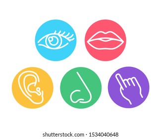 Elements: vision, hearing, smell, taste, touch on colorful background. Five human senses color line icons set. Sign for web page, mobile app, banner, social media. Editable stroke.