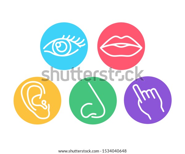 Elements Vision Hearing Smell Taste Touch Stock Vector (Royalty Free ...