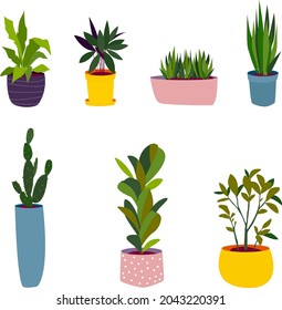 Elementos para el diseño de banners, postales, pegatinas. Plantas domésticas en ollas coloridas, de diferentes tamaños.