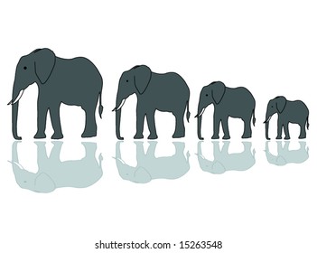 elephant