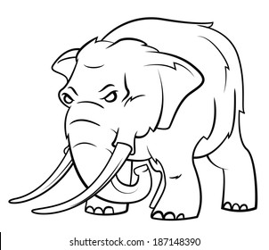 Elephant 