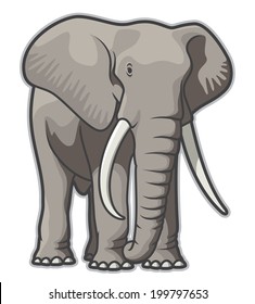 Elephant