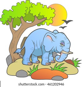 elephant
