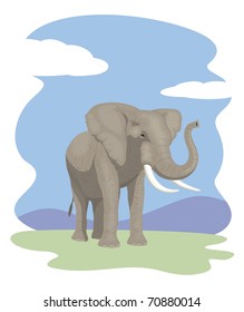 Elephant