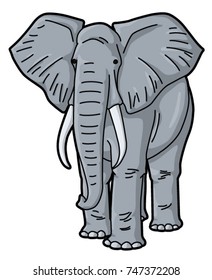 Elephant