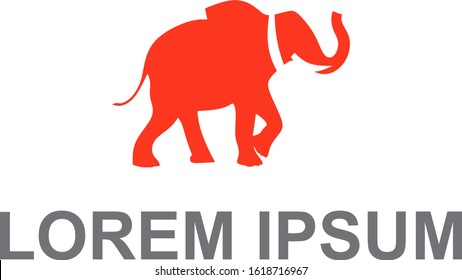 Elephant Abstract logo vector. Modern design