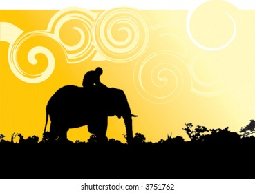 elephant and african