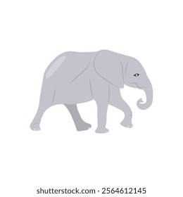 Elephant, African Symbols Vector Illustration