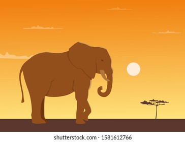 An elephant against the background of a Savannah sunset. A silhouette of an animal against the sky. Vector cartoon illustration.