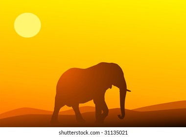 Elephant against a red sunset