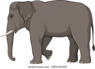 Elephant Anatomy Concept for Science Education illustration