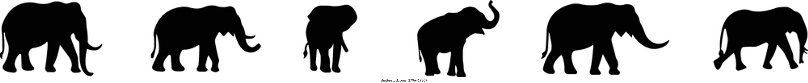 Elephant Animal Black Flat Style Vector Icon Set, Wildlife Mammal Symbol Collection and Nature Safari Outline Graphic Group Featuring Elephant, Pachyderm and Jumbo