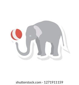 elephant   animal   circus  