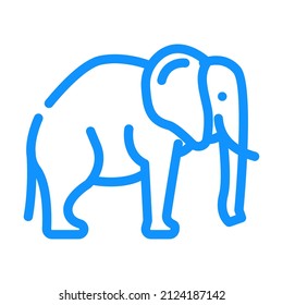 elephant animal color icon vector. elephant animal sign. isolated symbol illustration