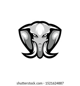 Elephant animal mascot vector design