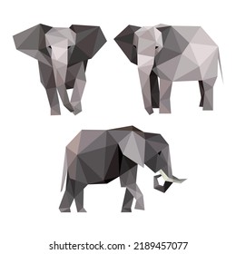 Elephant Animal Set Low Poly polygonal. Wild Elephant Illustration in abstract. Vector Collection of Elephant