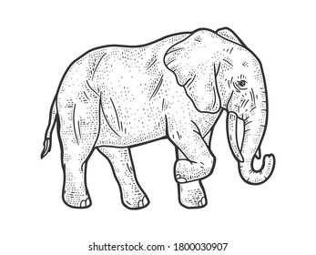elephant animal sketch engraving vector illustration. T-shirt apparel print design. Scratch board imitation. Black and white hand drawn image.
