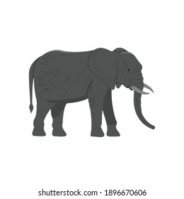 Elephant For Animal Vector Illustration