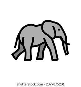 elephant animal in zoo color icon vector. elephant animal in zoo sign. isolated symbol illustration