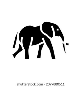 elephant animal in zoo glyph icon vector. elephant animal in zoo sign. isolated contour symbol black illustration