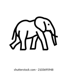 elephant animal in zoo line icon vector. elephant animal in zoo sign. isolated contour symbol black illustration