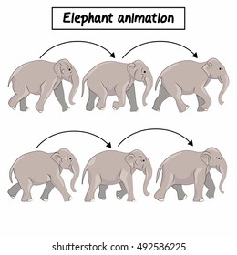 Elephant animation