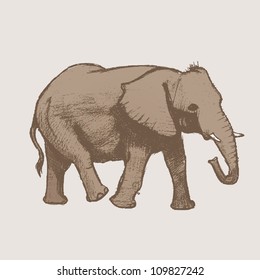Elephant Art drawing