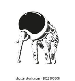 
The elephant is an astronaut. Isolated. Without background. Vector drawing.