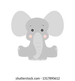 Elephant baby animal