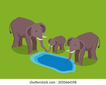 Elephant and baby illustrations at africa wildlife zoo