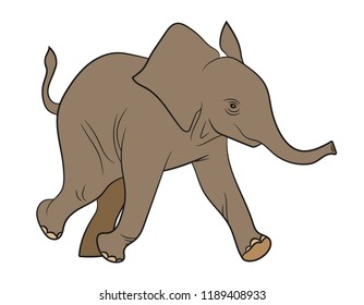 Elephant. Baby. Vector illustration on white background.