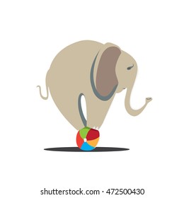 elephant balancing on ball. circus performances presentation show isolated on white background