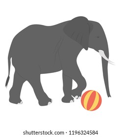 
An elephant with ball showing elephant act
