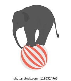 
An elephant with ball showing elephant circus 
