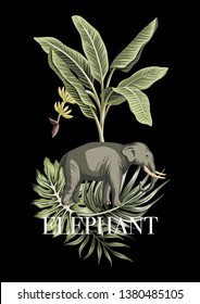 Elephant, banana tree, green palm leaves tropical floral illustration. Summer slogan jungle composition.
