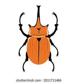 Ilustración vectorial de insectos de escarabajo elefante, icono de color en un fondo blanco