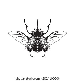 El escarabajo elefante es miembro de la familia Scarabaeidae y de la subfamilia Dynastinae. Son escarabajos de rinocerontes neotrópicos.