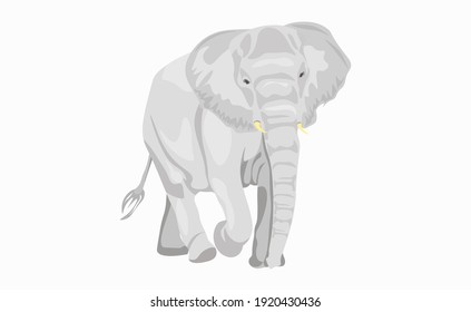 Elephant big cartoon mammal isolated on white. African bush or forest elephant and Asian elephant. Has large ears, a concave back, wrinkled skin, an oblique belly. Sticker for children. Vector