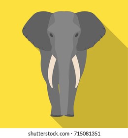 The elephant, the biggest wild animal. African elephant with tusks single icon in flat style vector symbol stock illustration web.