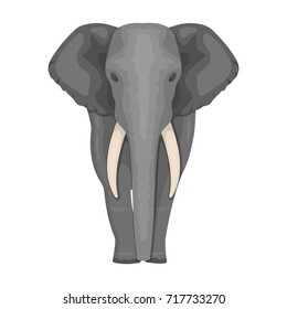 The elephant, the biggest wild animal. African elephant with tusks single icon in cartoon style vector symbol stock illustration web.