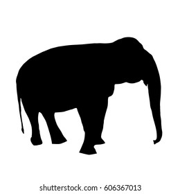 Elephant black silhouette on white background. Vector realistic illustration.